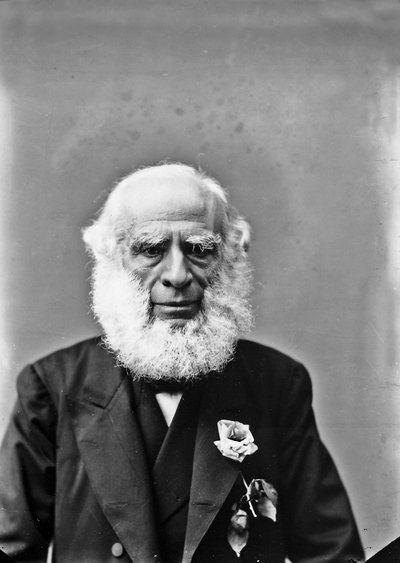 老人のポートレイト 作： Henry Charles Fehr