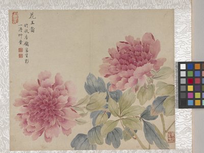 8 Leaf Album Of Flowers、1700年代中頃（紙にインク、彩色） 作： School Chinese