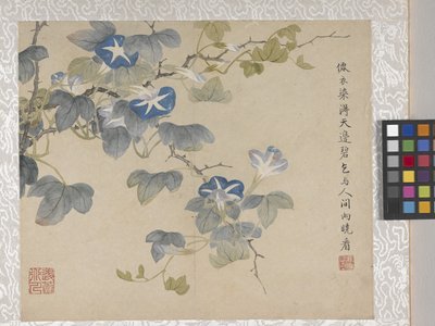 8 Leaf Album Of Flowers、1700年代中頃（紙にインク、彩色） 作： School Chinese