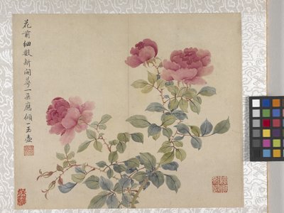 8 Leaf Album Of Flowers、1700年代中頃（紙にインク、彩色） 作： School Chinese