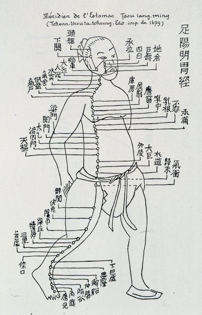 鍼灸のこと"胃の経絡 "編 作： School Chinese