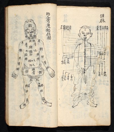身体の中心線に沿った経穴（Jing Guan Qi Zhi, "The beginningnings and ends of acupuncture points and channel", pub.18世紀初頭、中国南部、紙に墨で描かれている。 作： School Chinese