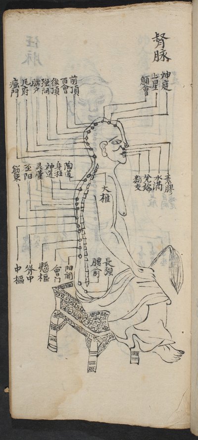 背骨と頭に沿ったツボ、Jing Guan Qi Zhi, "The beginningnings and ends of acupuncture points and channel", pub.中国南部、18世紀初頭、紙に墨で描かれている。 作： School Chinese