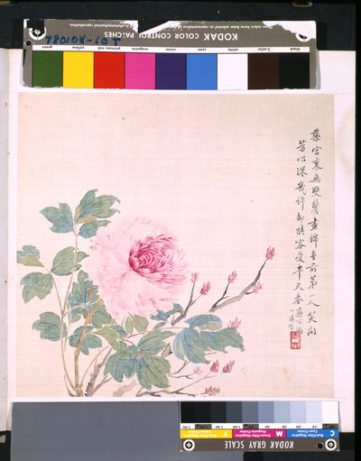 花と鳥のアルバム」 制作年不詳 （絹本、インク、彩色） 作： School Chinese