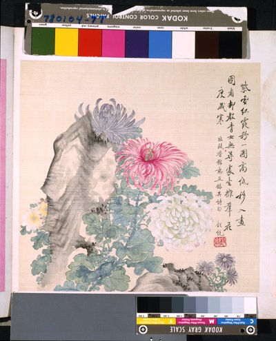 花と鳥のアルバム」 制作年不詳 （絹本、インク、彩色） 作： School Chinese