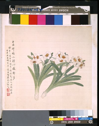 花と鳥のアルバム」 制作年不詳 （絹本、インク、彩色） 作： School Chinese