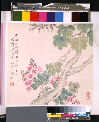 花と鳥のアルバム」 制作年不詳 （絹本、インク、彩色） 作： School Chinese