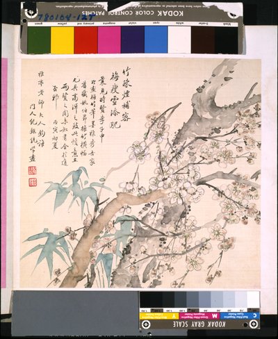 花と鳥のアルバム」 制作年不詳 （絹本、インク、彩色） 作： School Chinese