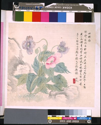 花と鳥のアルバム」 制作年不詳 （絹本、インク、彩色） 作： School Chinese