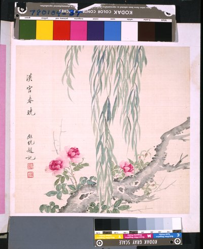 花と鳥のアルバム」 制作年不詳 （絹本、インク、彩色） 作： School Chinese