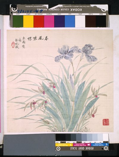 花と鳥のアルバム」 制作年不詳 （絹本、インク、彩色） 作： School Chinese