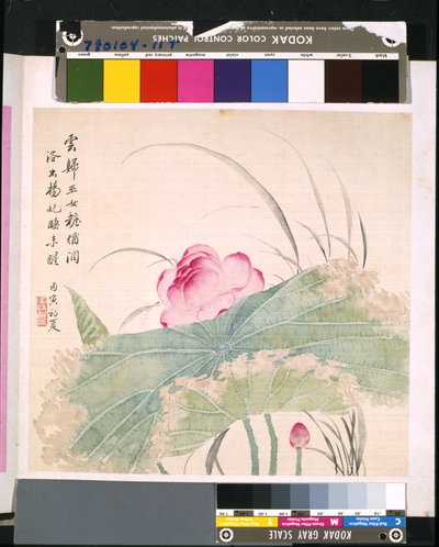 花と鳥のアルバム」 制作年不詳 （絹本、インク、彩色） 作： School Chinese