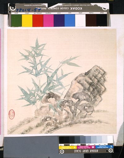 花と鳥のアルバム」 制作年不詳 （絹本、インク、彩色） 作： School Chinese
