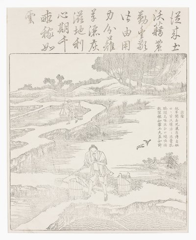 稲の苗に肥料を与える 作： School Chinese
