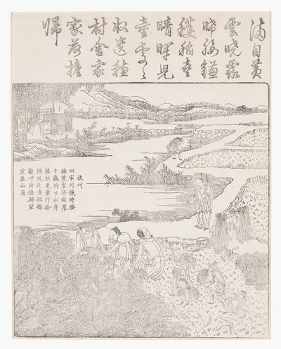 稲刈り 作： School Chinese