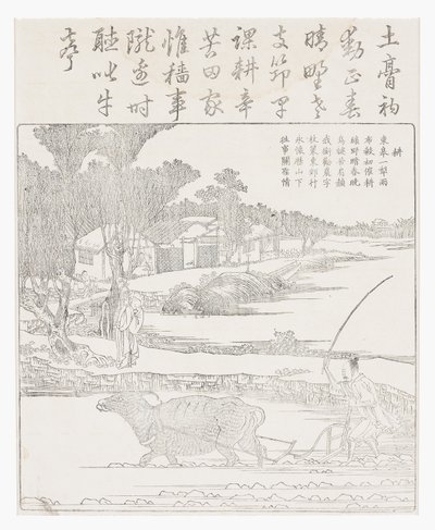 泥だらけの水田で水牛を耕します。 作： School Chinese