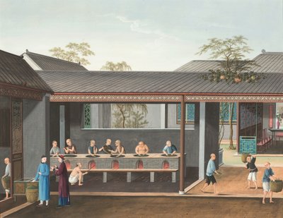 紅茶の製造風景、1820年頃（絹本、ボディカラー、金彩、紙） 作： School Chinese