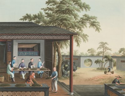 紅茶の製造風景、1820年頃（絹本、ボディカラー、金彩、紙） 作： School Chinese