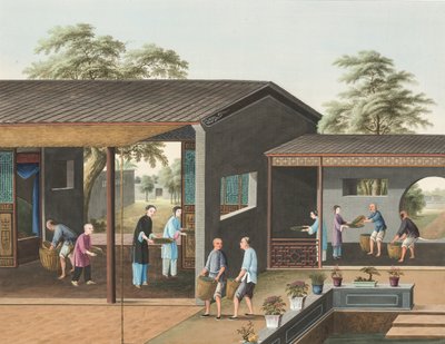 紅茶の製造 1820年頃 （絹本、ボディカラー、金泥、紙） 作： School Chinese