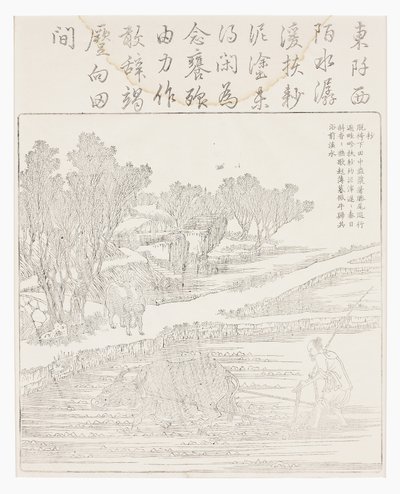 乾燥した天候で水田を耕す 作： School Chinese