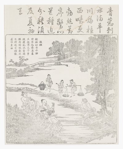 稲の苗を移植する 作： School Chinese