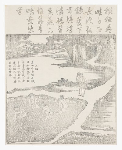 水田で働く 作： School Chinese