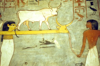 古代エジプト、絵画、ラメセス1世の墓、ハトホルに繋がれた冥界の神々、太陽船を曳航する神々 作： School Egyptian