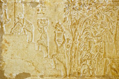 古代エジプト、壁面彫刻、ペトシリスの墓、ツナ・エル・ゲベル、紀元前300年、ワイン搾り機にブドウを運ぶ（写真） 作： School Egyptian