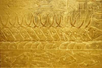 古代エジプト、壁画、サッカラ、イドゥートのマスタバ／墓、紀元前2323-2150年、川を渡る牛（写真） 作： School Egyptian