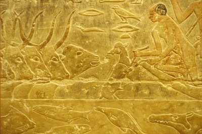 古代エジプト、壁面彫刻／絵画、イドゥートのマスタバ／墓、サッカラ、第6王朝、川を渡る牛、子牛を助ける男性、見守る母親（写真） 作： School Egyptian