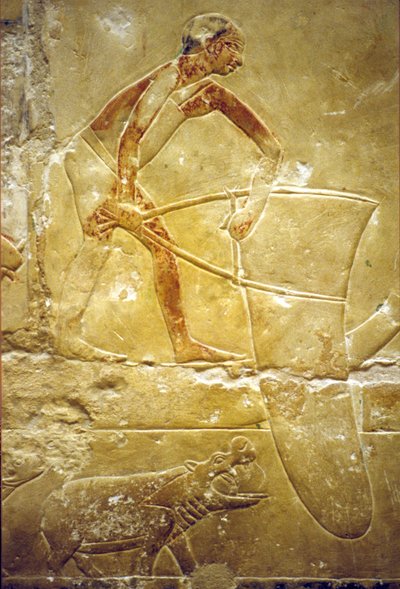 古代エジプト、壁画、イドゥートのマスタバ／墓、サッカラ、第6王朝、ワナ網漁、カバ（写真） 作： School Egyptian