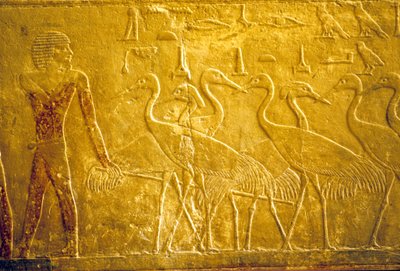 古代エジプト、壁面彫刻／絵画、ティのマスタバ／墓、サッカラ、第5王朝、飼い鶴を率いる農夫（写真） 作： School Egyptian
