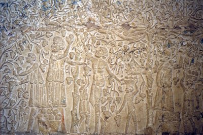 古代エジプト、壁画、ペトシリスの墓、ツナ・エル・ゲベル、紀元前300年、ワイン造りのためのブドウ摘み（写真） 作： School Egyptian