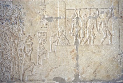 古代エジプト、壁の彫刻／絵画、ペトシリスの墓、ツナ・エル・ゲベル、紀元前300年、ワインの収穫、ワイン造り、ワイン搾り機（写真） 作： School Egyptian