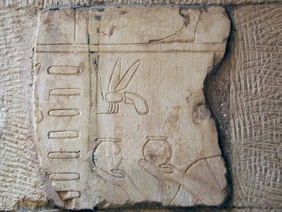ルクソール（石）のレリーフの詳細 作： School Egyptian