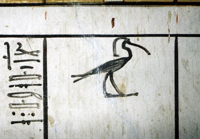 ルクソール、テーベ王家の谷、アメンノフィス3世の墓、エジプト第18王朝(-1410 - -1370)のファラオ。 作： School Egyptian