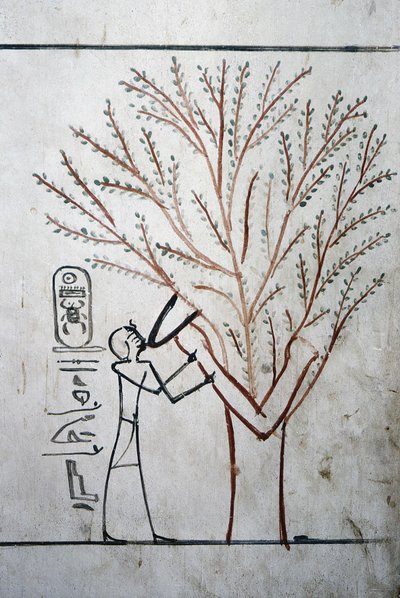 ルクソール、テーベ：王家の谷。エジプトのファラオ、トゥトモシス3世（-1504～-1450）の墓。 作： School Egyptian