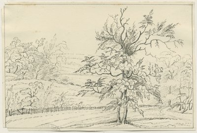 Cannock Chase: pen and pencil drawing, nd [?19 cent] (drawing) 作： School English