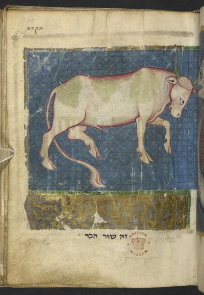 MS 11639 f.519t を追加 聖書やその他のテキストのミセルからの雄牛 (「北フランスのミセル」または以前の「大英博物館のミセル」y 作： School French