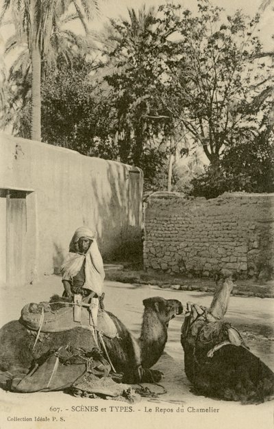 Le Repos du Chamelier, c.1890-1914 (モノクロ写真) 作： School French