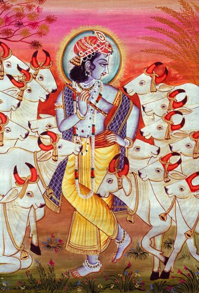 クリシュナ神と牛のミニチュア絵画 作： School Indian