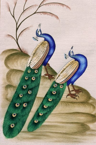 孔雀の細密画 作： School Indian