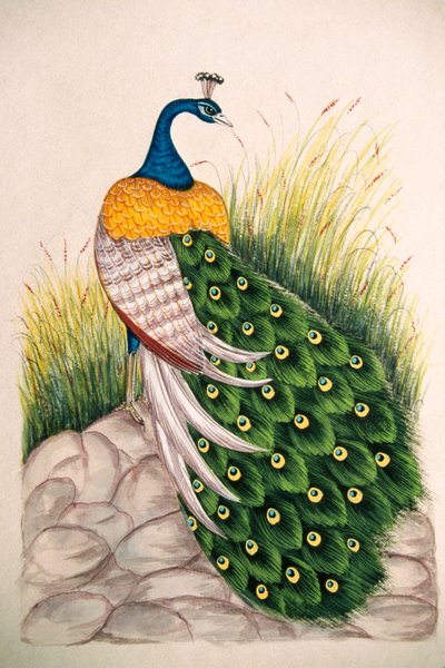 シルクに孔雀の細密画 作： School Indian