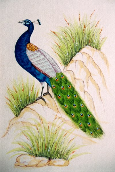 シルクに孔雀の細密画 作： School Indian