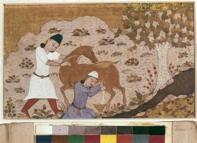 Onager Milking、15世紀後半（水彩、グワッシュ、白色、紙にインク） 作： School Iranian