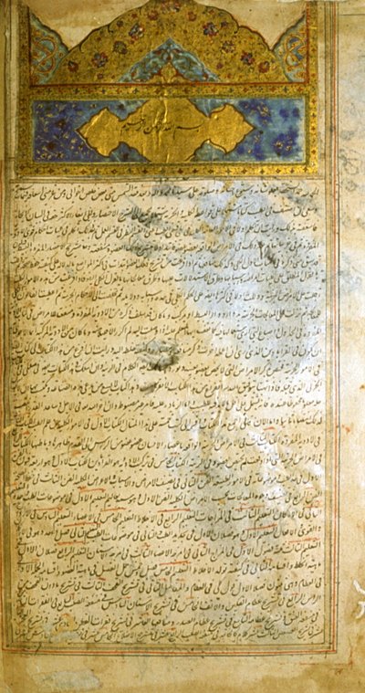 アヴィセンナ著『医学規範』（al-Qānūn fī aṭ-Ṭibb）の一ページ。 作： School Iranian