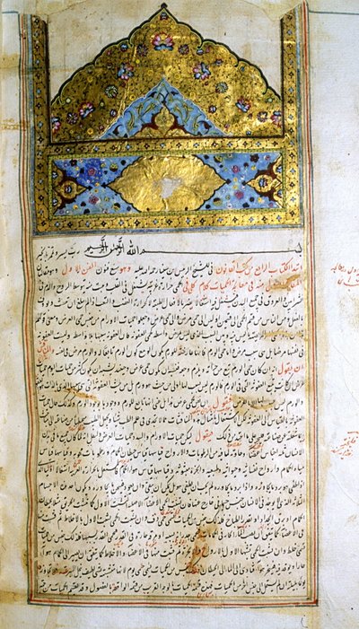 アヴィセンナ著『医学規範』（al-Qānūn fī aṭ-Ṭibb）の一ページ。 作： School Iranian
