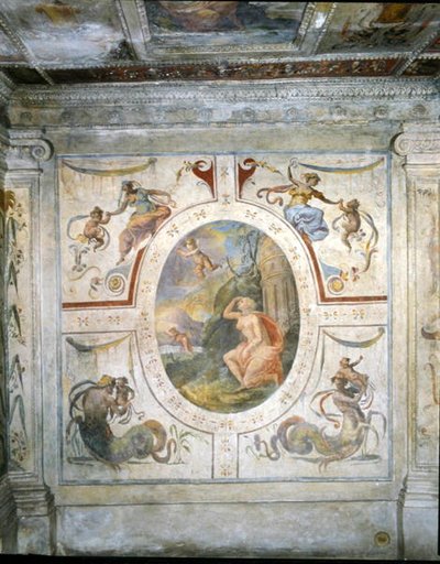 コジモ1世（1519-74）のバスルームの壁 作： School Italian