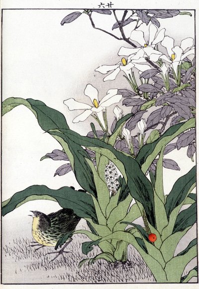 花の中の鳥 - 日本のプリント 作： Japanese School