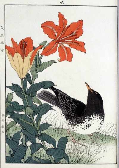 黒鳥と百合の花 - 日本のプリント 作： Japanese School